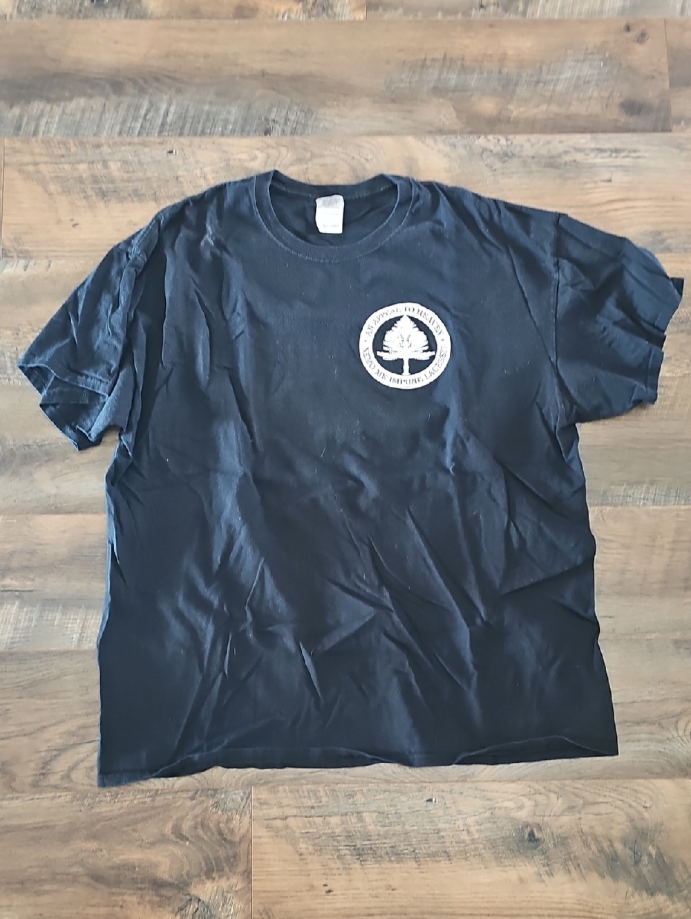 An Appeal To Heaven Mens Shirt